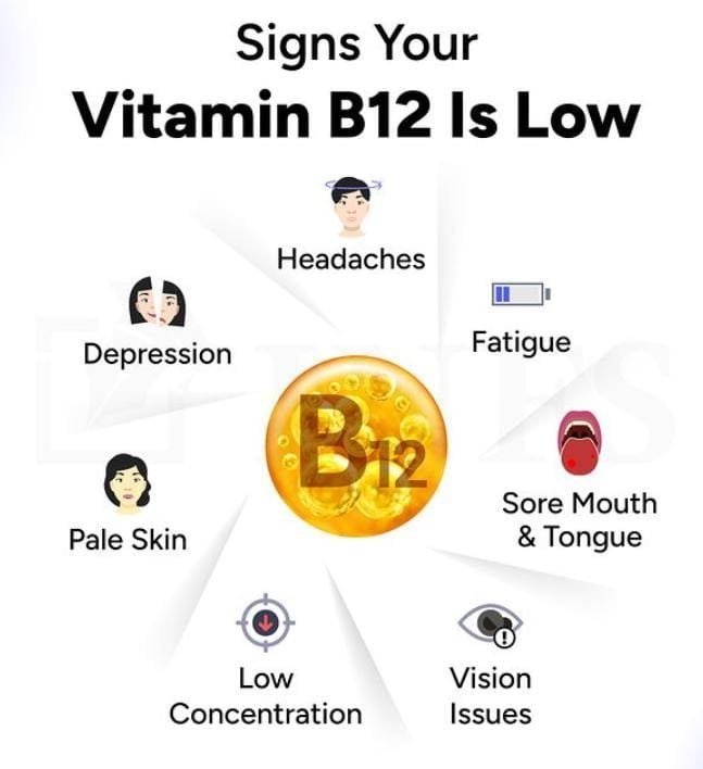  7 signs your vitamin b12 is low