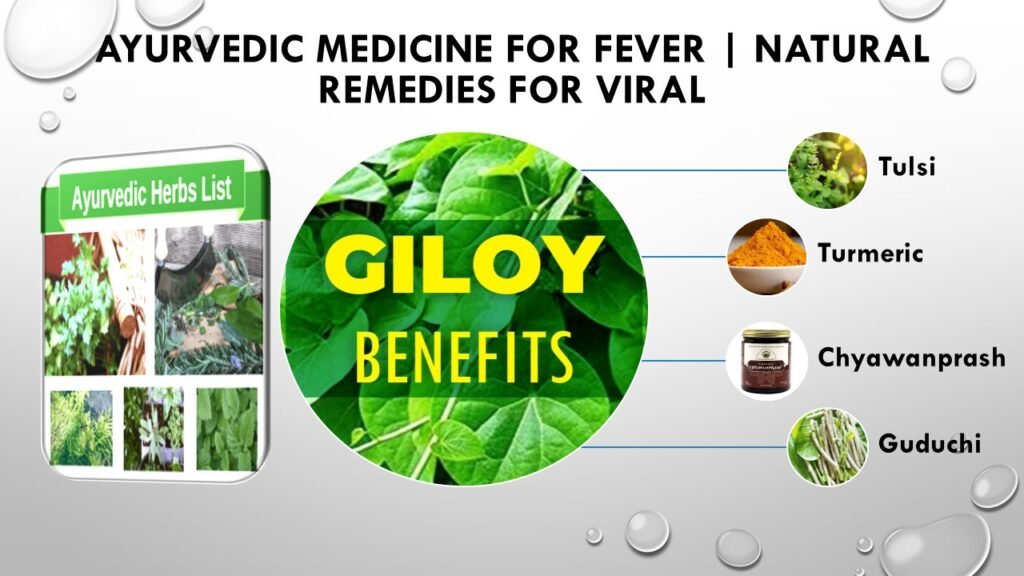 "Assortment of Ayurvedic herbs and remedies for treating fever, including Giloy, Tulsi, turmeric, and herbal teas, promoting natural healing and immune support."