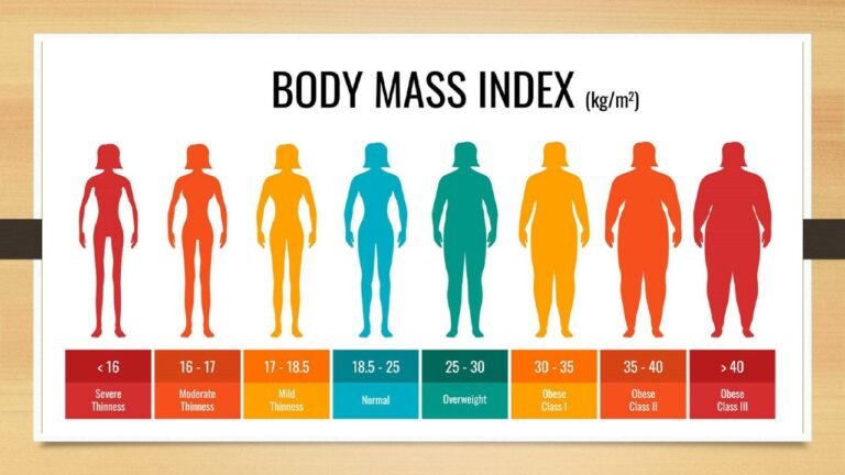 User-friendly BMI calculator to check Body Mass Index and assess health and fitness levels"