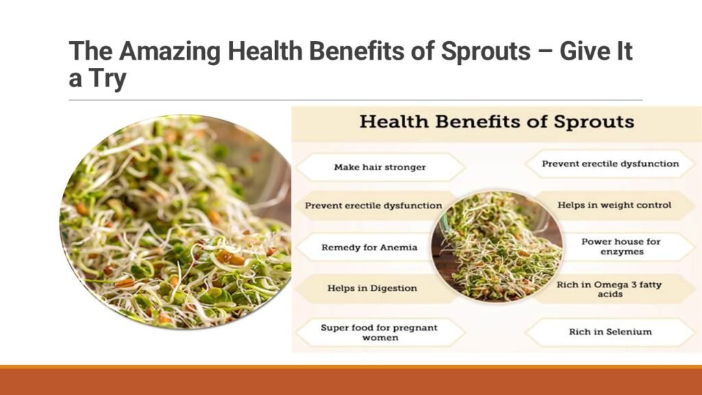 "Learn how sprouts boost health and are easy to add to meals. Find fun tips to enjoy these crunchy, nutritious powerhouses in your diet!"