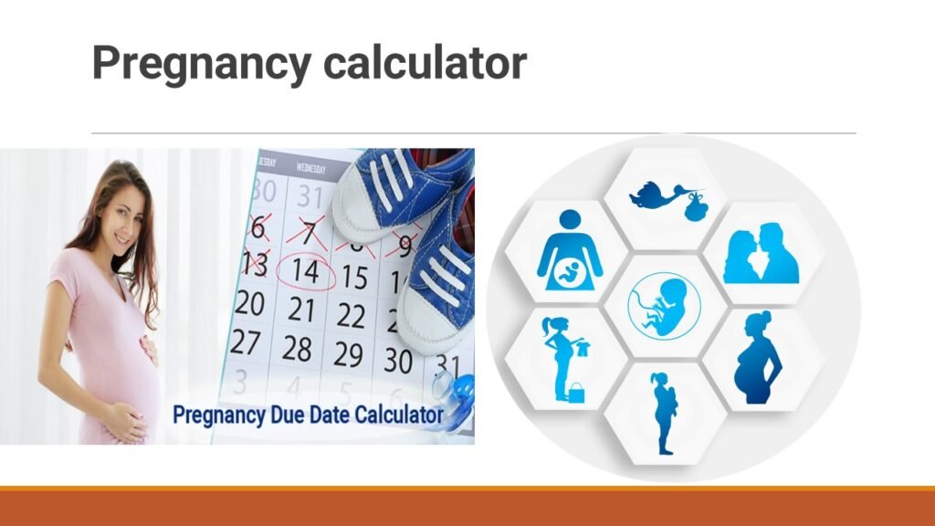 "Pregnancy calculator interface showing estimated pregnancy week, trimester, and baby’s size based on user input."